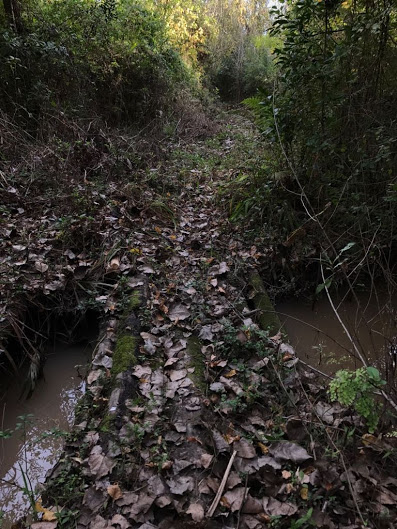 sendero-blastocerus-06 sendero-blastocerus-06