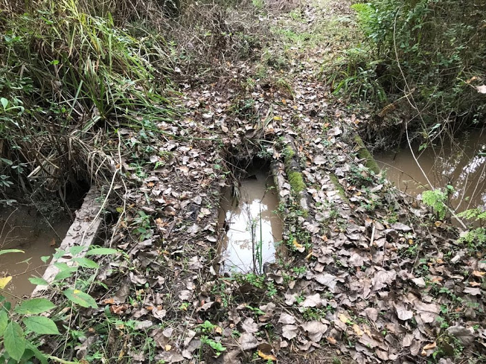 sendero-blastocerus-07 sendero-blastocerus-07