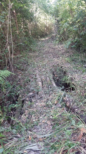 sendero-blastocerus-11 sendero-blastocerus-11