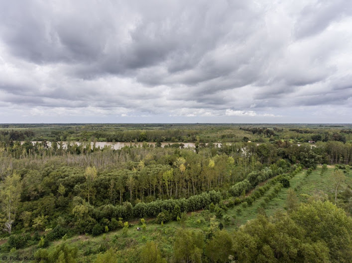 sendero-blastocerus-16 sendero-blastocerus-16