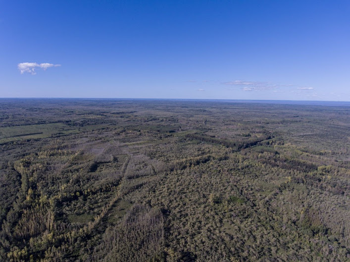 sendero-blastocerus-18 sendero-blastocerus-18