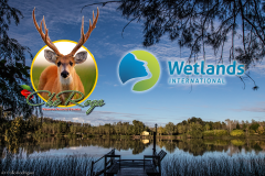 wetlands-visita-Reserva-natural-che-roga-1